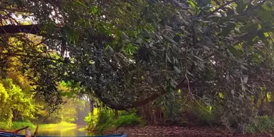 Karanji Lake: A Peaceful Nature Escape in Mysore