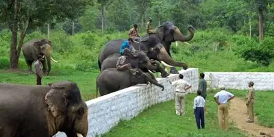 Dubare Elephant Camp, Coorg