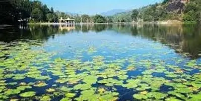 Honnamana Kere Lake, Coorg