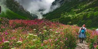 A Kaleidoscope of Colors: Experiencing the Valley of Flowers A Kaleidoscope of Colors: Experiencing the Valley of Flowers