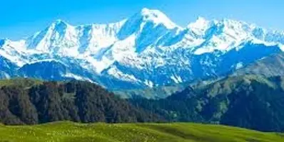 Dayara Bugyal Trek Guide: Uttarakhand's Alpine Meadow
