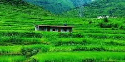 Ranikhet Travel Guide: Queen's Meadow of Kumaon
