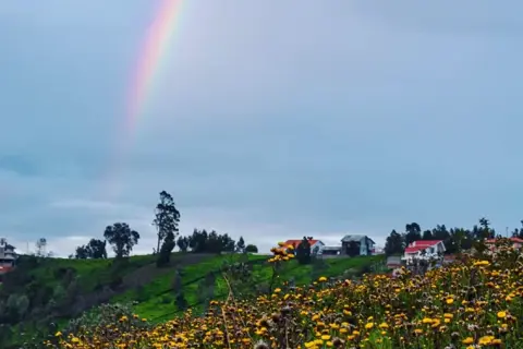 Ooty Tour Packageimage 1