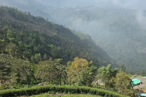 Ooty Tour Packageimage 1