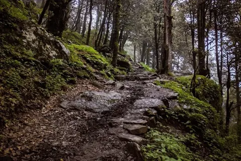 Jalori Pass Trekimage 1