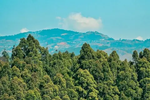 Kodaikanal Tour Packageimage 1 Kodaikanal Tour Packageimage 1