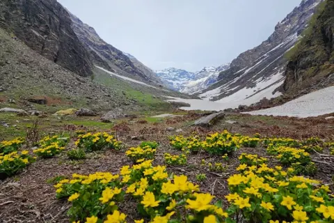 Rupin Pass Trekimage 1