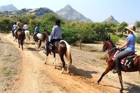 Horse Ride Near Mysore: Guided Horse Riding Experience image 2