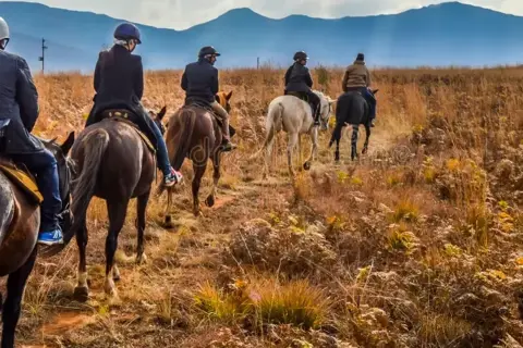 Horse Ride Near Mysore: Guided Horse Riding Experience image 3