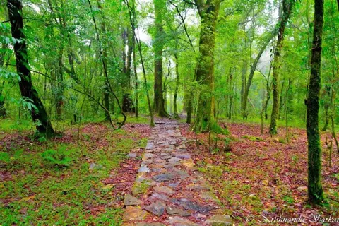 Meghalaya Tour Package From Shillongimage 1