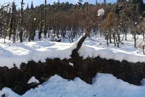 Dhakuri Trekimage 1