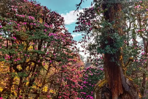 Namik Glacier Trekimage 1