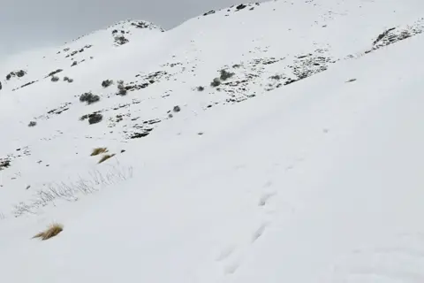 Namik Glacier Trekimage 1