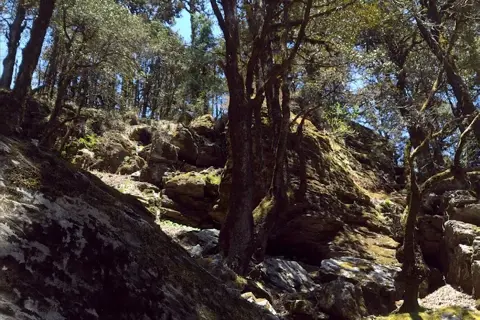 Jalori Pass Trekimage 1