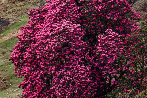 Namik Glacier Trekimage 1