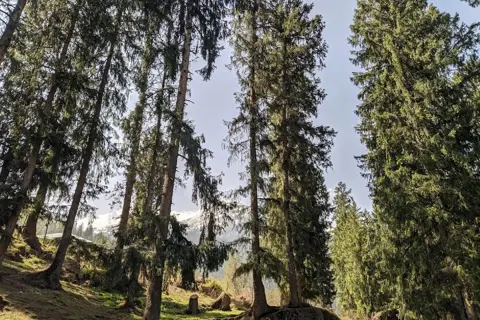 Kheerganga Trekimage 1 Kheerganga Trekimage 1