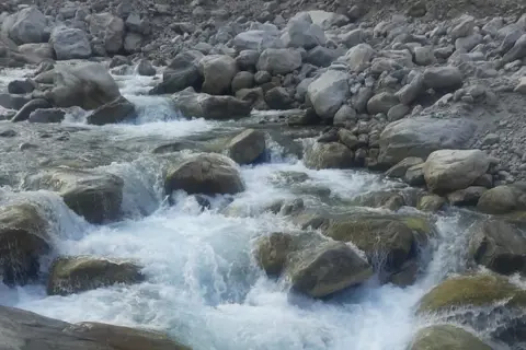 Pindari Glacier Trekimage 1