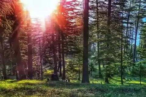 Chandrakhani Pass Trekimage 1