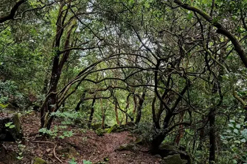 Kothaligad Trekimage 1