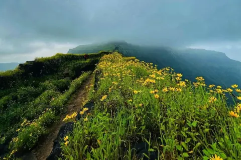 Rajgad Fort Trekimage 1