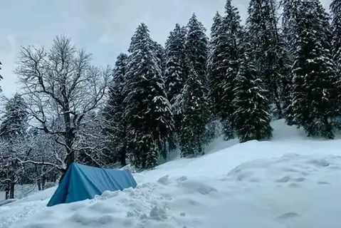 Chandrakhani Pass Trekimage 1