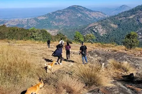 Horagina Betta Sunrise Trek with Water Activitiesimage 1