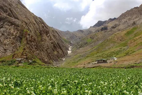 Pin Parvati Pass Trekimage 1 Pin Parvati Pass Trekimage 1