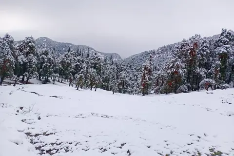 Chopta Chandrashila Trekimage 1