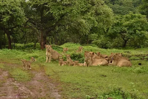Gujarat Tour Package From Ahmedabadimage 1 Gujarat Tour Package From Ahmedabadimage 1