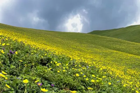 Kashmir Great Lakes Trekimage 1