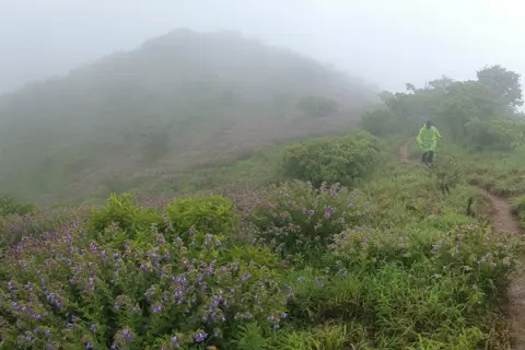 Nelji Hill Trek image 5