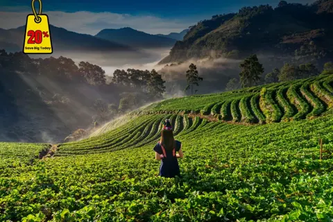 Ooty Tour Packageimage 1