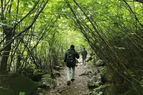 Aadrai Jungle Trekimage 1