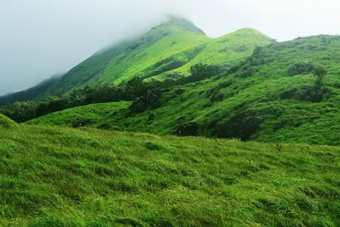 Chembra Peak Trekimage 1