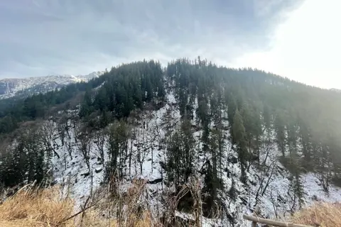 Kheerganga Trekimage 1 Kheerganga Trekimage 1