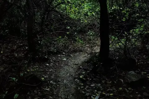 Nanemachi Waterfall Trekimage 1