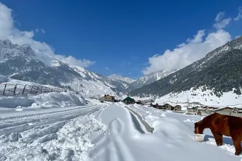 Thajiwas Glacier Trekimage 1 Thajiwas Glacier Trekimage 1