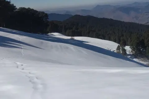 Kuppar Bugyal Trekimage 1