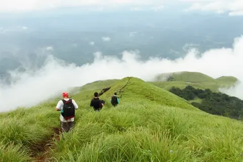 Chembra Peak Trekimage 1
