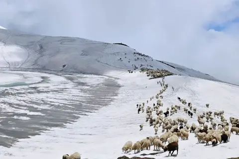 Bhrigu Lake Trekimage 1
