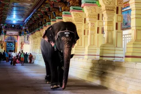 Rameshwaram Tour Packageimage 1