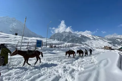 Thajiwas Glacier Trekimage 1 Thajiwas Glacier Trekimage 1