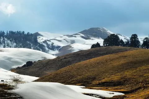 Dayara Bugyal Trekimage 1