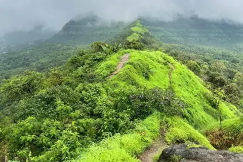 Tikona Fort Trekimage 1 Tikona Fort Trekimage 1