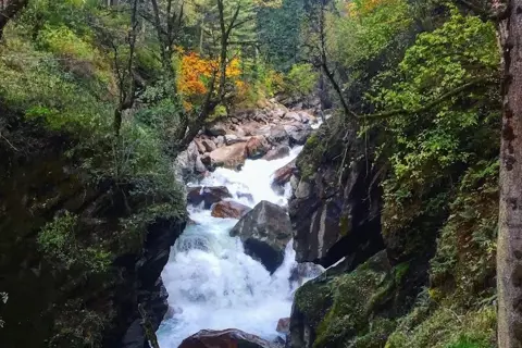 Kheerganga Trekimage 1 Kheerganga Trekimage 1