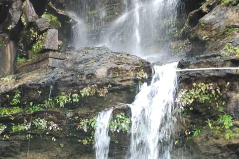 Jog Falls Trip with Bheemeshwara Falls Trekimage 1