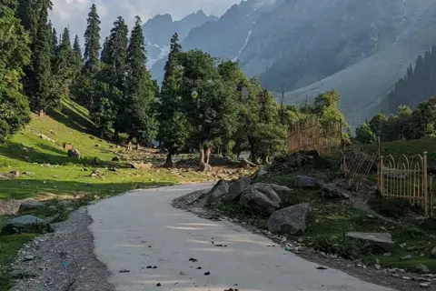 Thajiwas Glacier Trekimage 1 Thajiwas Glacier Trekimage 1