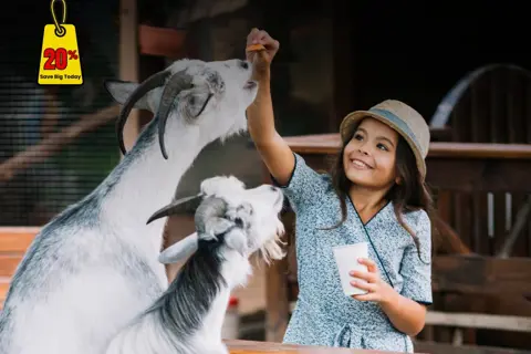 Pyramid Valley and Pet Sanctuary Day Tripimage 1