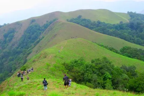 Sakleshpur Tripimage 1